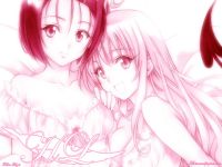 to_love-ru_20110327_00091.jpg